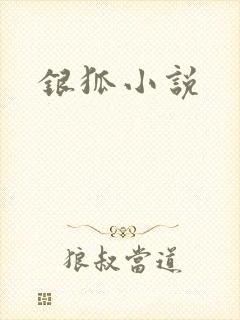 银狐小说