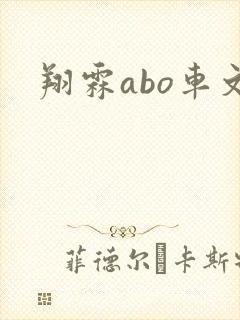 翔霖abo车文