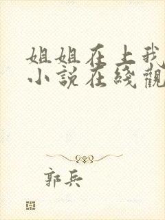 姐姐在上我在下小说在线观看