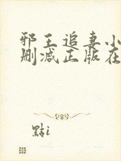 邪王追妻小说无删减正版在线阅读