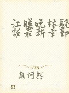 江映晚林骁然小说最新章节