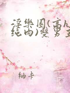 淫乐园(高h,纯肉)双男主