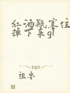 红酒瓶塞住不准掉下来gl