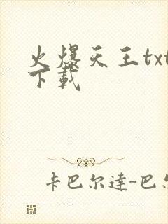 火爆天王txt下载