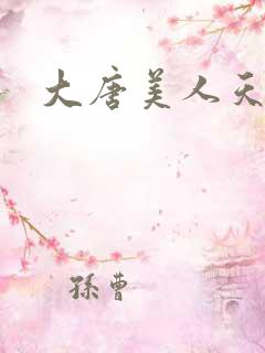 大唐美人天下