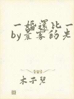 一婚还比一婚高by晨雾的光小说免费阅读