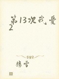 第13次我爱你2