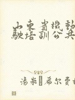 山东省机动车驾驶培训公共服务平台