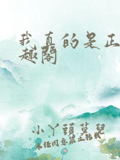 我真的是正派笔趣阁