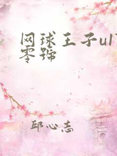 网球王子u17零号