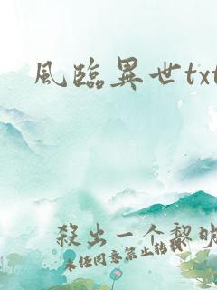 风临异世txt