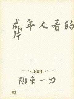 成年人看的a级片