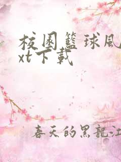 校园篮球风云txt下载