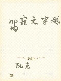 np宠文穿越全肉