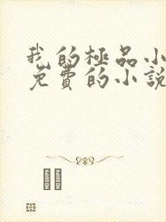 我的极品小姨全免费的小说