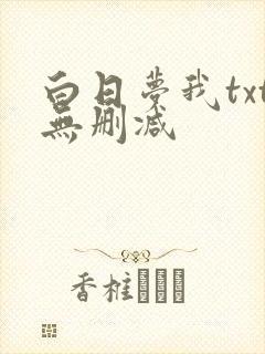 白日梦我txt无删减