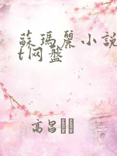 苏玛丽小说txt网盘