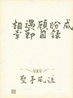 相遇顾盼成欢全章节目录