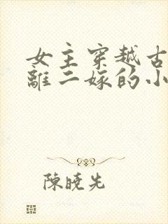 女主穿越古代和离二嫁的小说