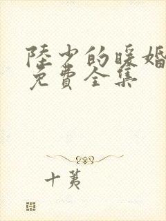 陆少的暖婚新妻免费全集