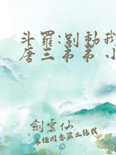 斗罗:别动我的唐三弟弟 小说完整