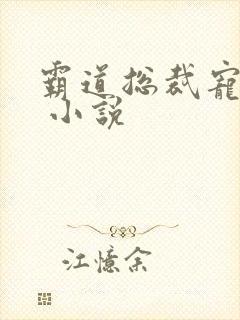 霸道总裁宠上天 小说