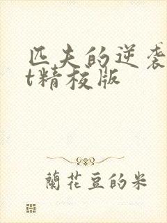 匹夫的逆袭txt精校版