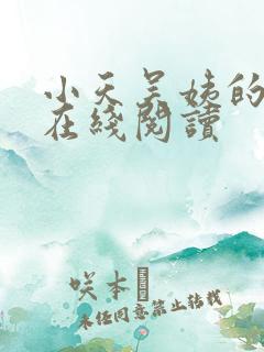 小天吴姨的小说在线阅读