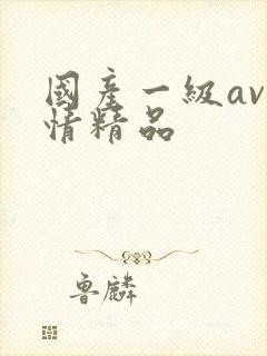 国产一级av剧情精品