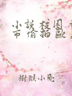 小说 校园 都市 偷拍 欧美