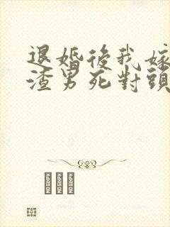 退婚后我嫁给了渣男死对头