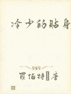 冷少的贴身女人