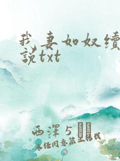 我妻如奴续写小说txt