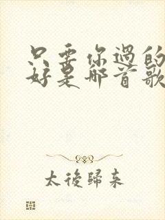 只要你过的比我好是哪首歌里的歌词