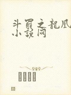 斗罗之龙凰传说小说网