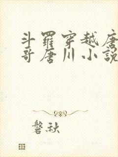 斗罗穿越唐三亲哥唐川小说