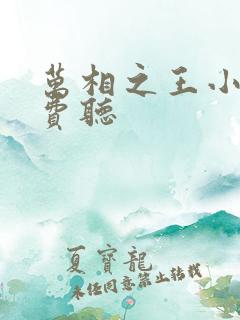 万相之王小说免费听