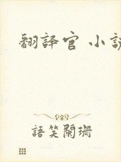 翻译官 小说
