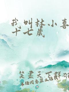 我叫林小喜今年十七岁