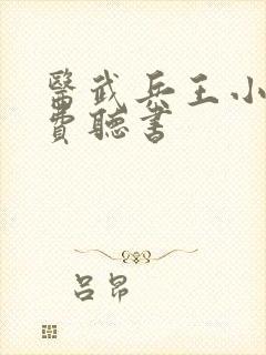 医武兵王小说免费听书