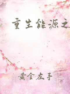 重生能源之王
