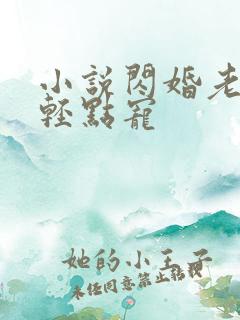 小说闪婚老公:轻点宠