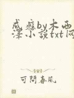 成瘾by木西西泽小说txt网盘