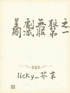 美剧无耻之徒无删减版第一季