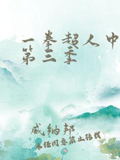 一拳超人中文版第三季