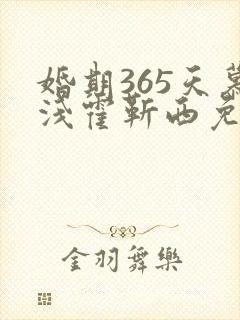 婚期365天慕浅霍靳西免费阅读