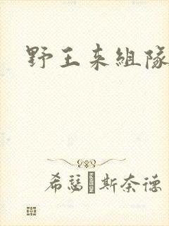 野王来组队小说