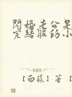 闪婚老公是豪门完结版的小说