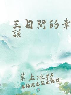 三日间的幸福小说