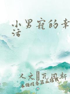 小男宠的幸福生活